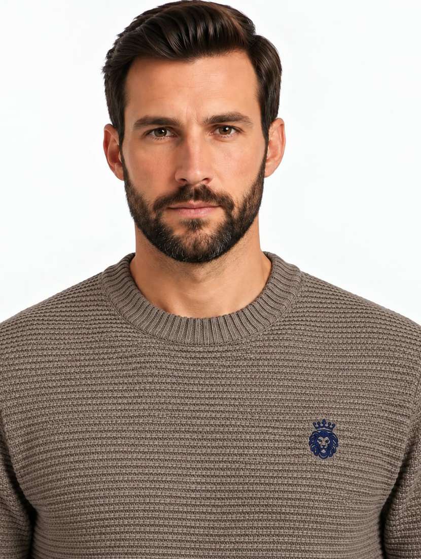Men Self Design Long Sleeve Regular Fit Pullover - 22731556 -  Standard Image - 1
