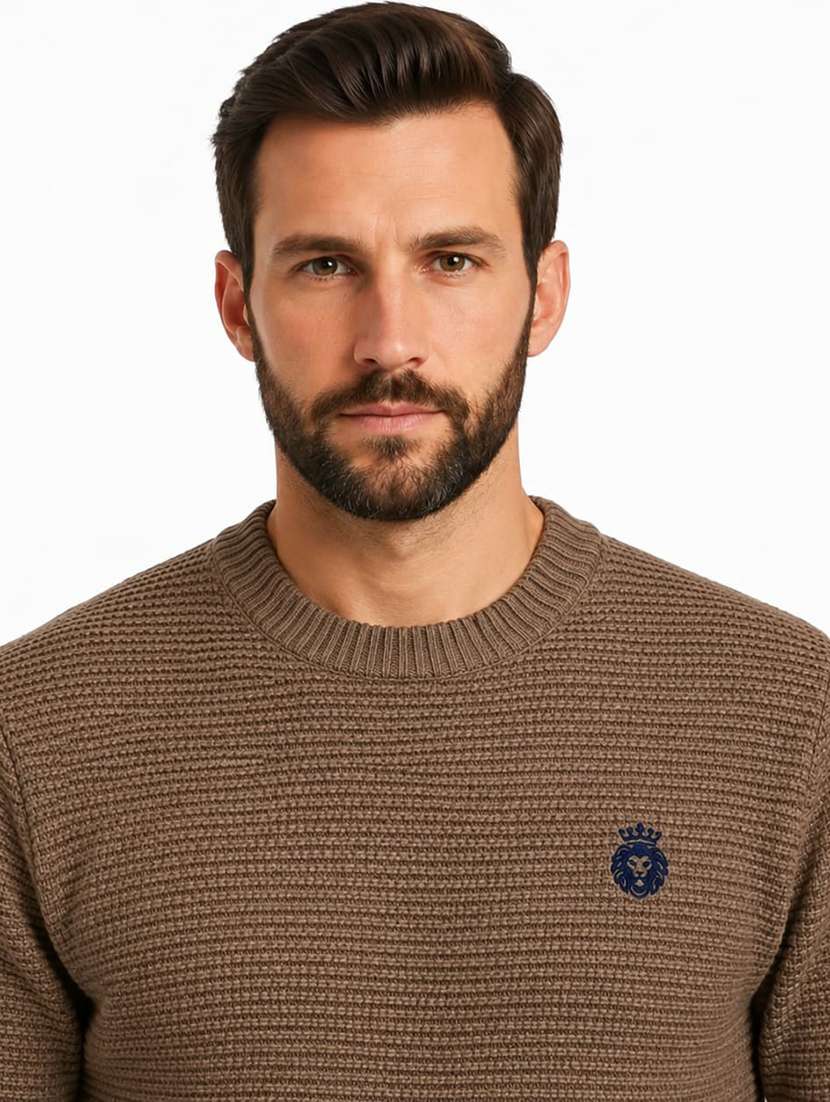 Men Self Design Long Sleeve Regular Fit Pullover - 22731557 -  Standard Image - 1