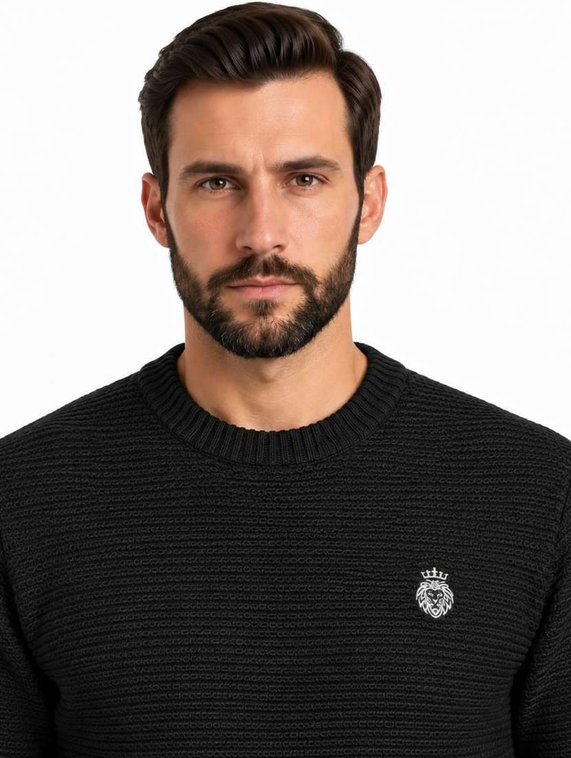 Men Self Design Long Sleeve Regular Fit Pullover - 22731558 -  Standard Image - 1