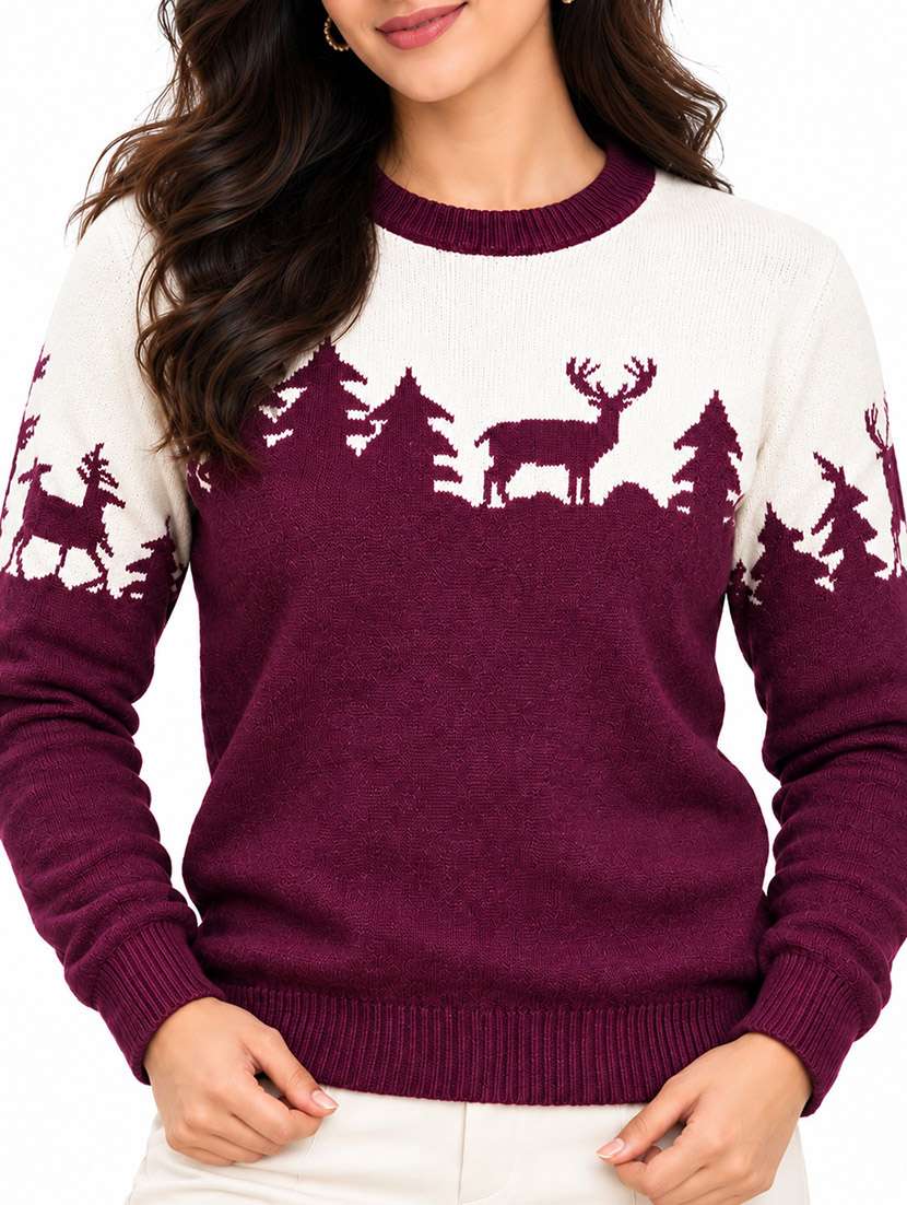 Women Self Design Long Sleeves Regular Sweater - 22764936 -  Standard Image - 1