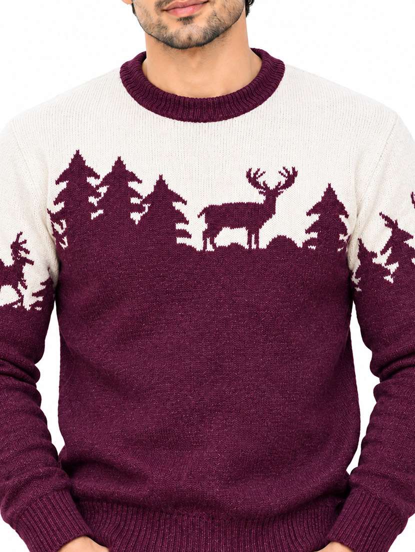 Men Self Design Long Sleeves Regular Pullover - 22764949 -  Standard Image - 1