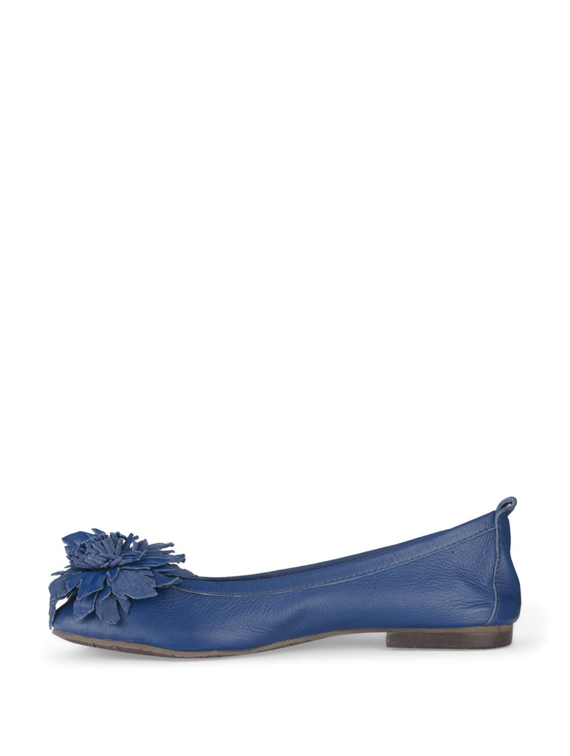Cobalt Blue Floral Ballerinas - 35732 -  Standard Image - 1