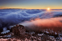 Kiruthika umakanthan