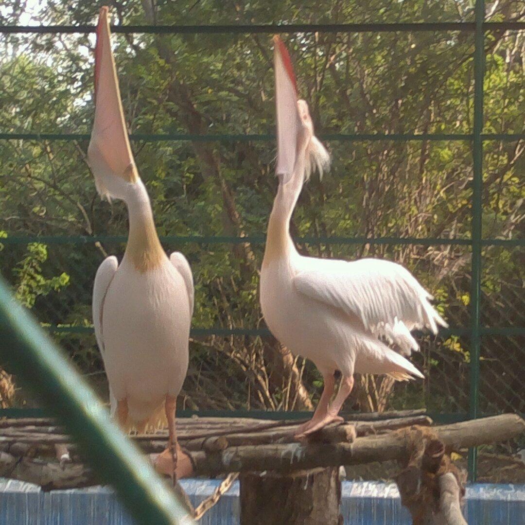 Keerthuari@Gmail.Com Keerthana